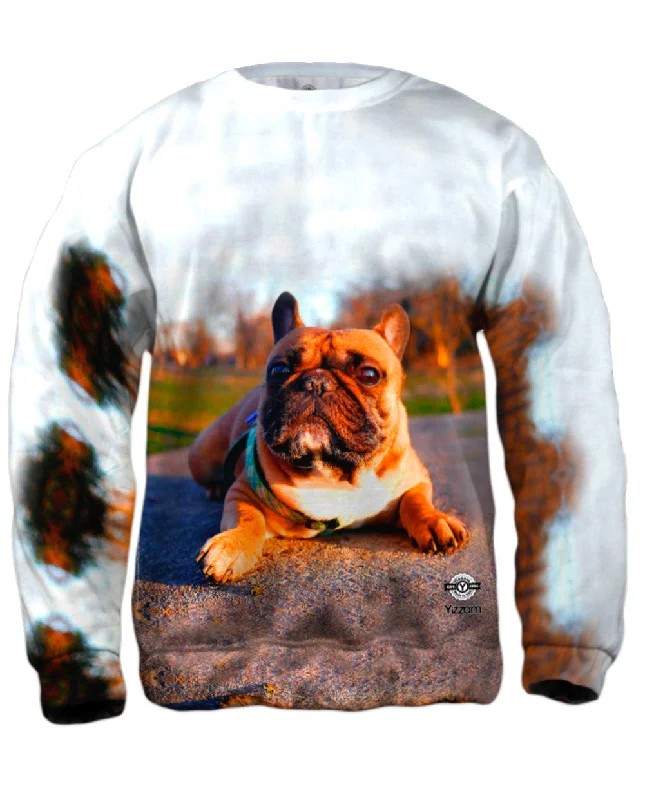 Hurry In Thundering French Bulldog